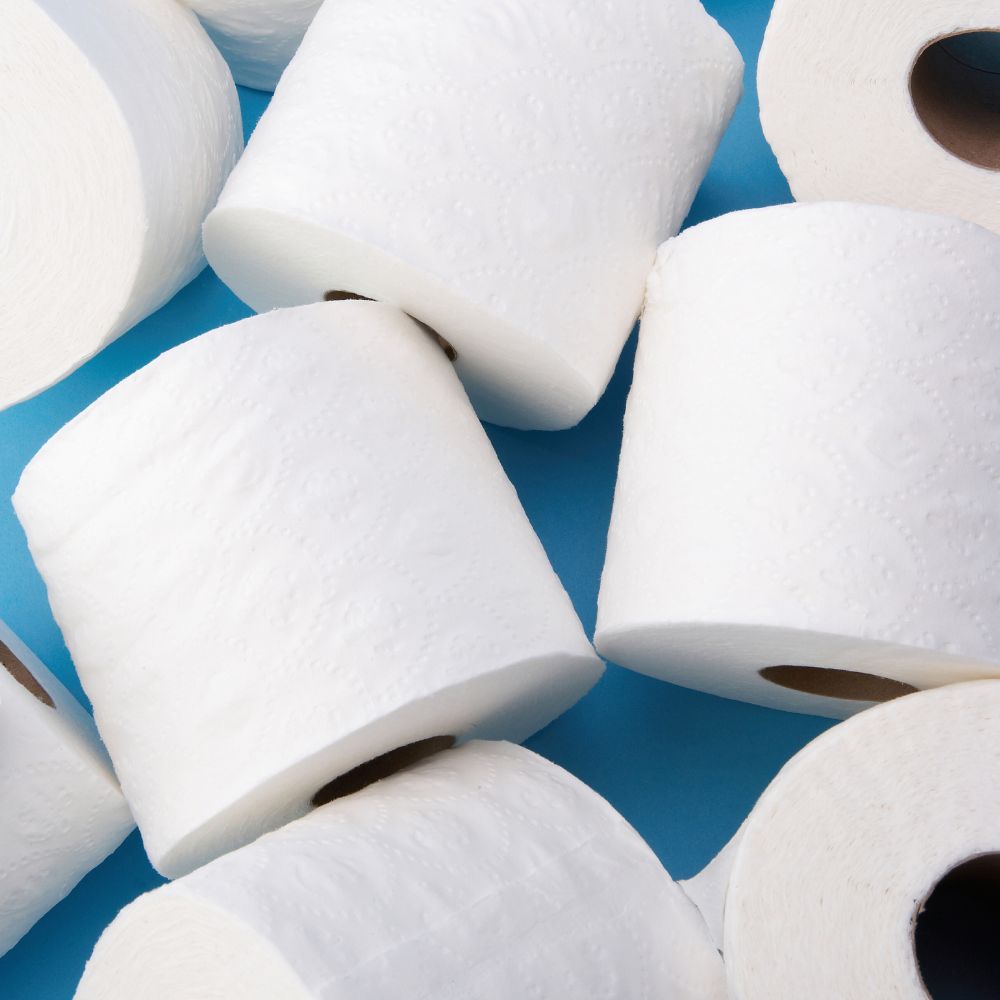 Buy Toilet Rolls - Bulk Toilet Paper Online